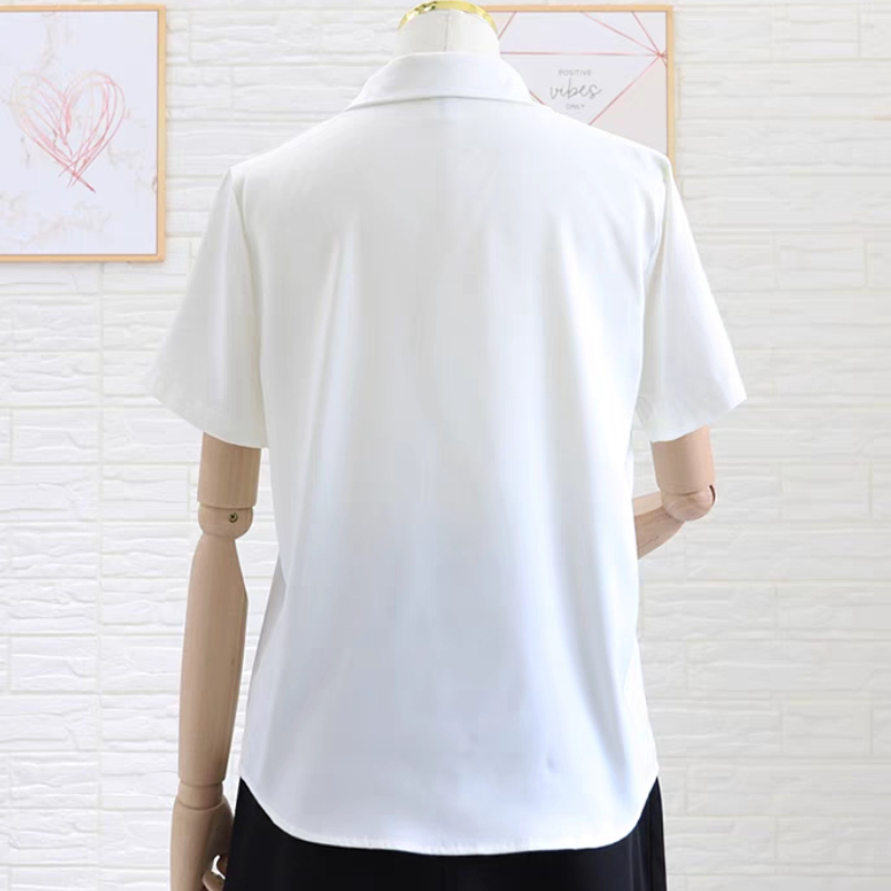 S-5XL Shirts Women Office Lady - Women'S Formal Day Wear บทวิจารณ์และราคา